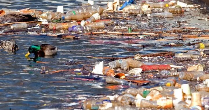 PepsiCo sued by New York state for plastic pollution – BBC